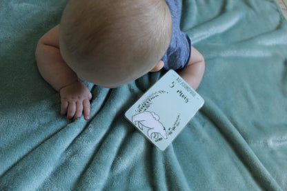 Cartes étapes bébé _ thème OURS